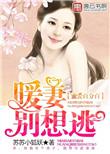 暖婚蜜爱宠妻成瘾